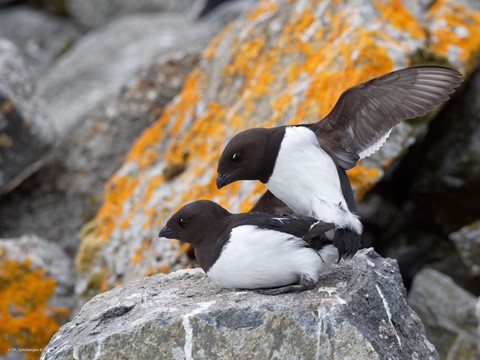 Photo by zeev kirshenboim