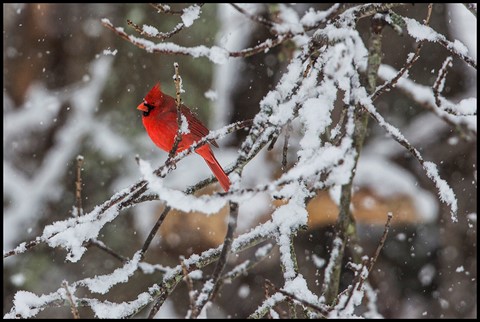 Photo by tim and jan