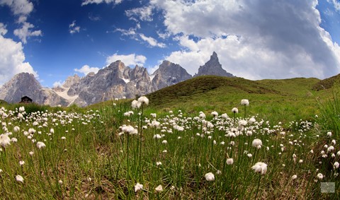 Photo by 472201706zPASSOROLLE-98