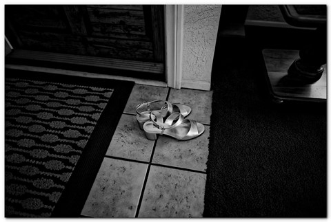 Photo by Great Bustard