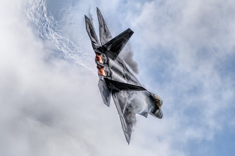 Photo by frontal_lobe