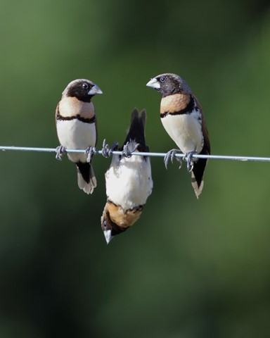 Photo by timvanleeuwen