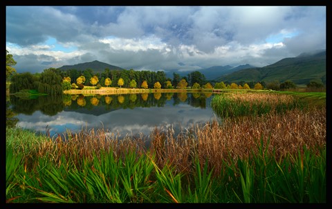 Photo by George Veltchev