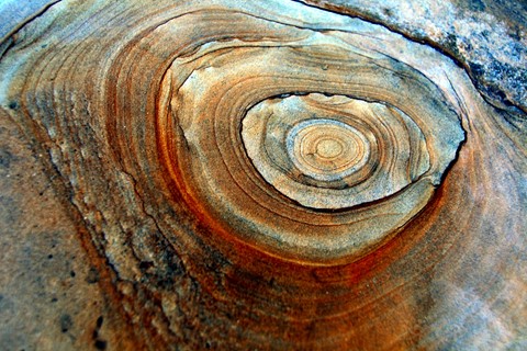 Photo by abiquiuense