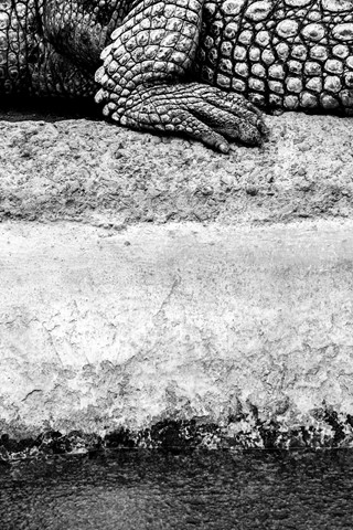 Photo by RoyBatty888