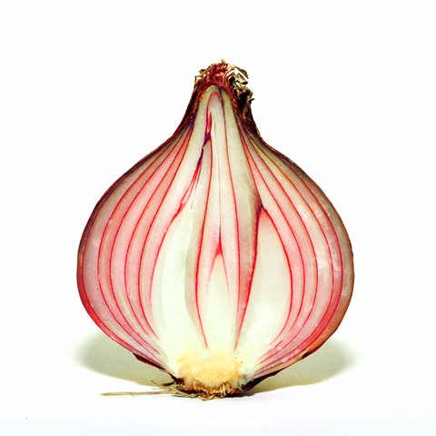 Photo by patrick daniels