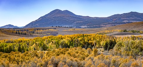 Photo by Mammoth Fall Foliage-