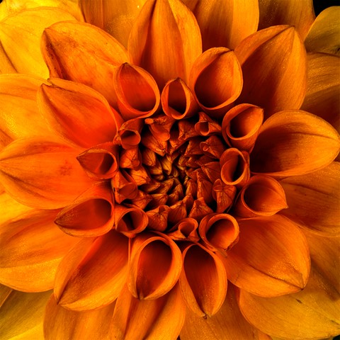 Photo by User0817479060