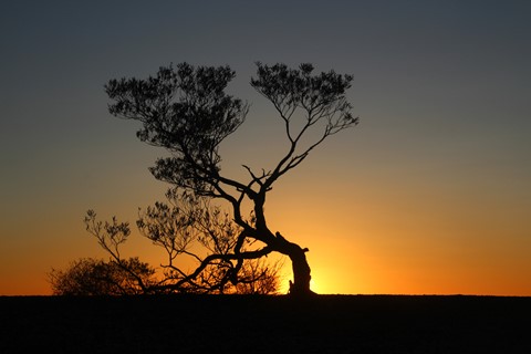 Photo by Jill Hancock