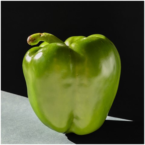 Photo by patrick daniels