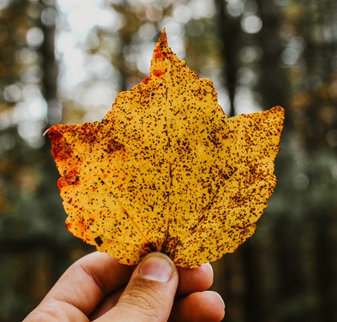 Photo by James Larsen