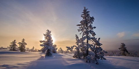 Photo by Morning frost