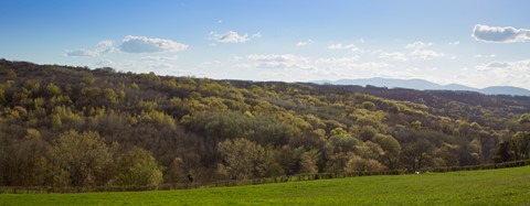 Photo by catastrophe