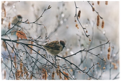 Photo by Raisa Lachoque