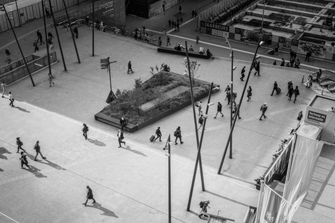 Photo by Thomas Rose