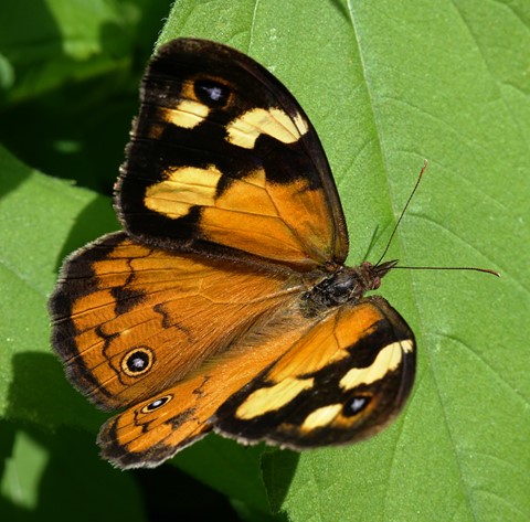 Photo by Deadfisheye