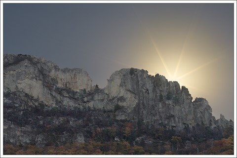 Photo by landscaper1