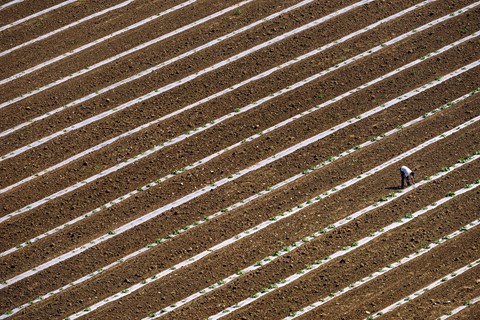 Photo by Gerard Beullac