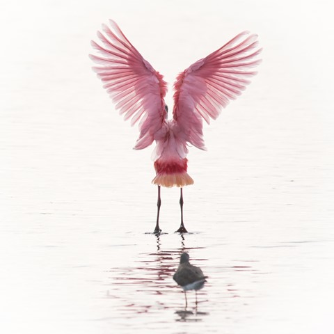 Photo by Andreas Volmer