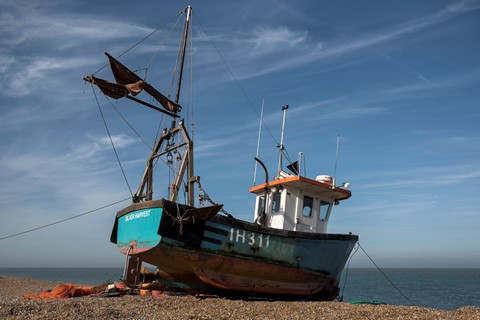 Photo by bluesman2070