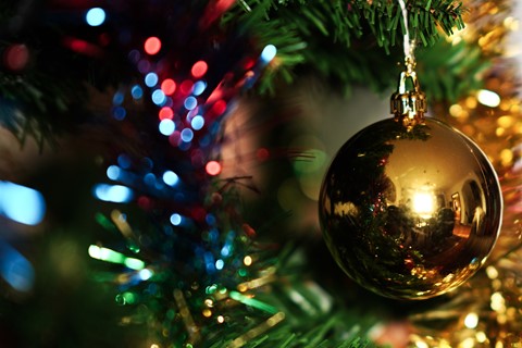 Photo by maurotandoi