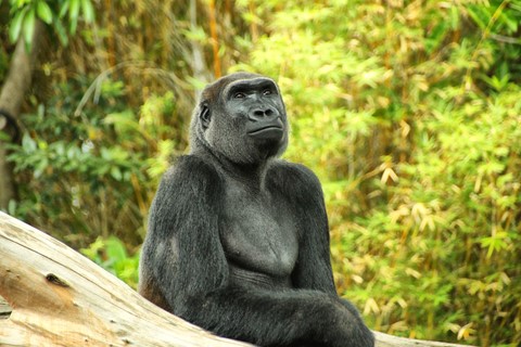 Photo by hunterfernon