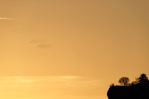 Photo by Pack in the Sky