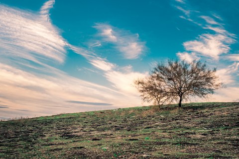 Photo by RoyBatty888