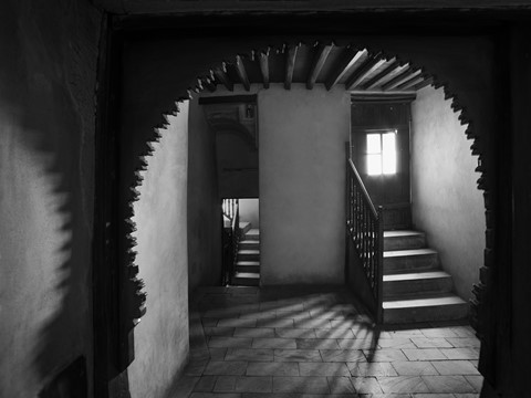 Photo by Nader El Assy