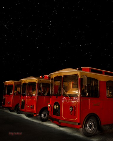 Photo by Tom Ingrassia