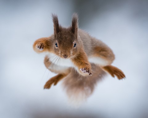 Photo by Phil Waring