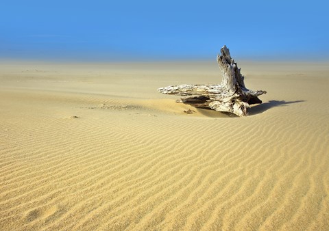 Photo by George Veltchev