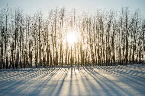 Photo by Imo Pectore