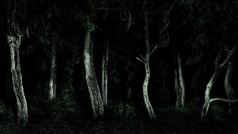 Photo by RoyBatty888