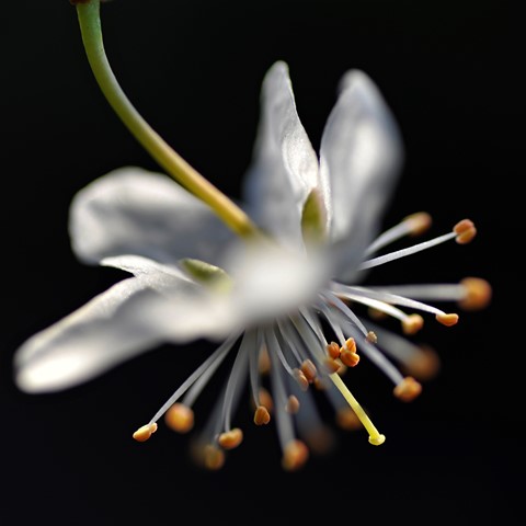 Photo by bluemoonman