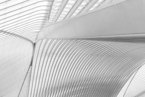 Photo by patrick daniels