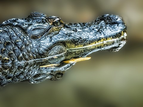 Photo by TX Photo Doc