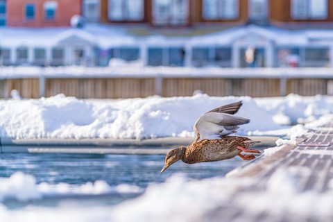 Photo by Light Bender