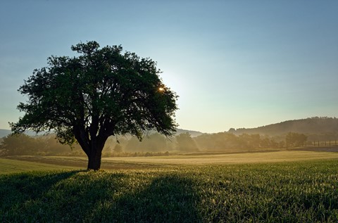 Photo by Gerard Beullac