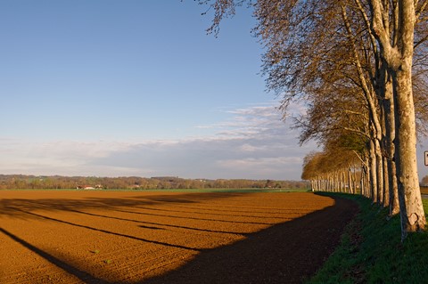 Photo by Gerard Beullac