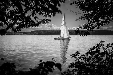 Photo by Following the lead