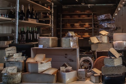 Photo by Thomas Rose