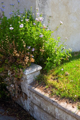 Photo by Richard Thornton