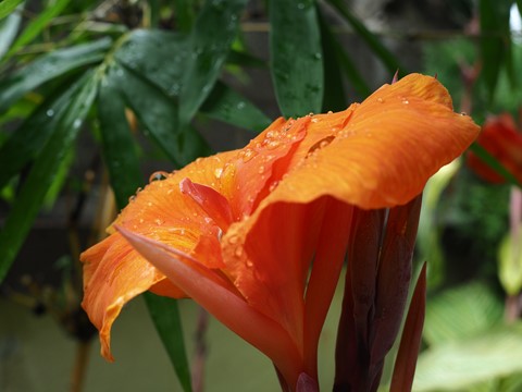 Photo by Fascinated!