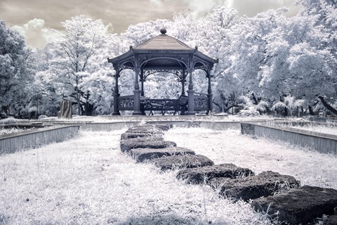 Photo by basil_mathai