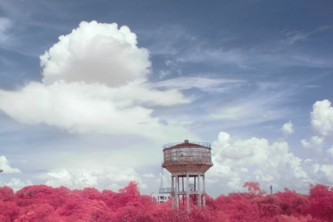 Photo by basil_mathai