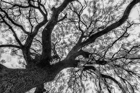 Photo by basil_mathai