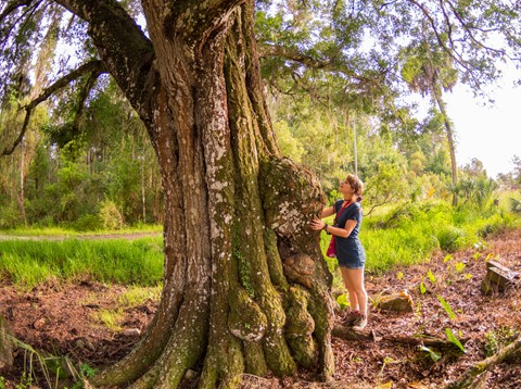 Photo by Joseph K Boston