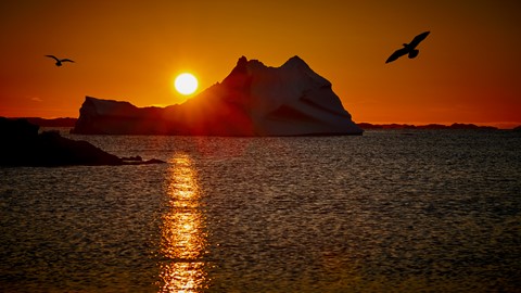 Photo by Darren Langdon