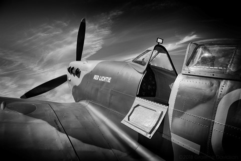 Photo by Graeme Davidson